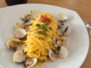 WhatsApp Image 2026-02-18 at 12.10.66