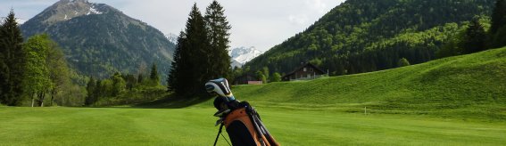 Golftasche (c) Petra Schumacher