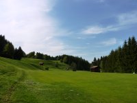 Petra Schumacher August 2012 120