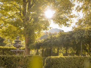 Bergblick inklusive