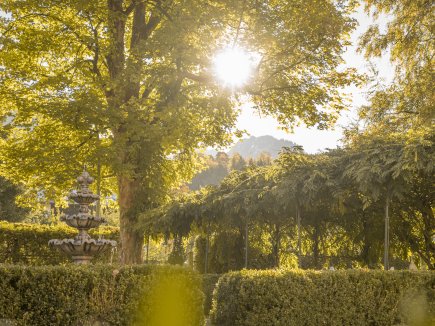 Bergblick inklusive