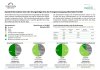 Energiemix Basisjahr 2025