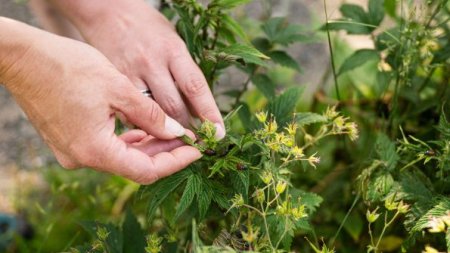 Therme Oberstdorf Erde
