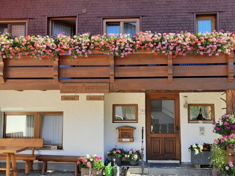 Hausansicht (Südseite)