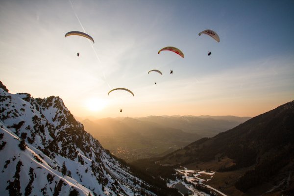 Vogelfrei Gleitschirm Tandemfliegen