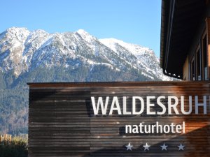Waldesruhe-Logo1