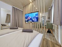 Tiny Houses Memmingen1