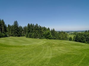 2012-06-16 12.32.35 web