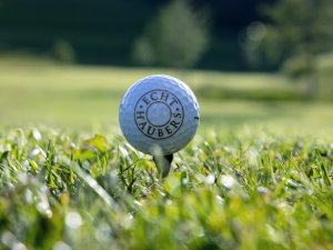 SC Haubers 2517 bearb