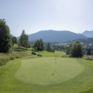 1I3A9778 bearb web Steibis