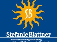 Logo neu pixel manuel verändert