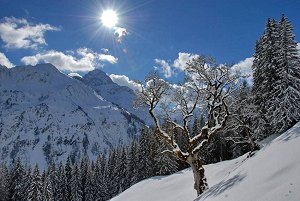 Wunder weißer Winter-Zauber