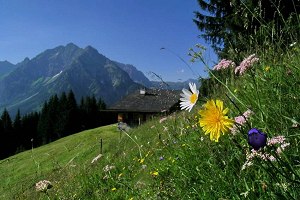 Sommer, Sonne, Sonnenschein in den Bergen