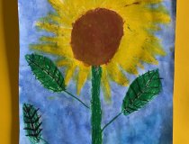 Sonnenblumen 20 21 (6)