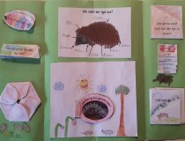 Igel Lapbook (3)