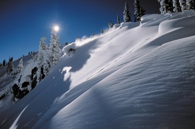 Champagne Powder Utah