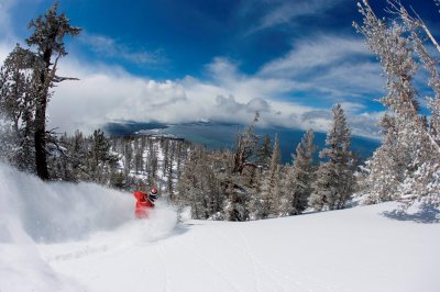 Lake Tahoe Skisafari