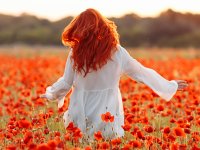 AdobeStock 327012760(1)
