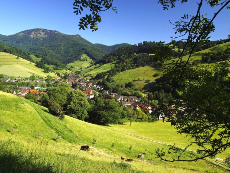 Ferienregion Münstertal Staufen