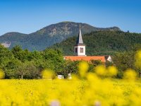 Belchen Sommer