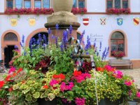 Ferienregion Münstertal Staufen
