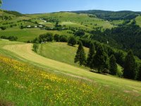 Ferienregion Münstertal Staufen