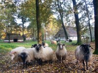 Museumsdorf Cloppenburg