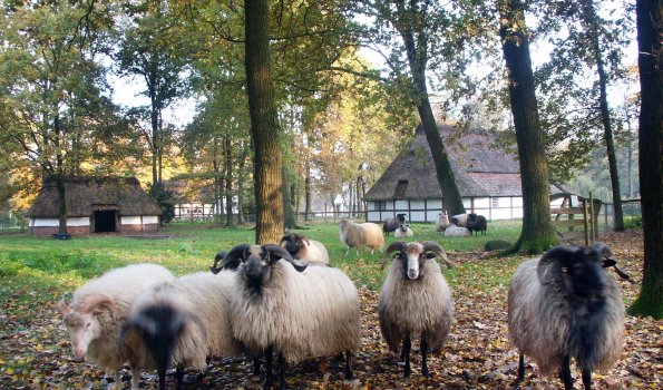Museumsdorf Cloppenburg