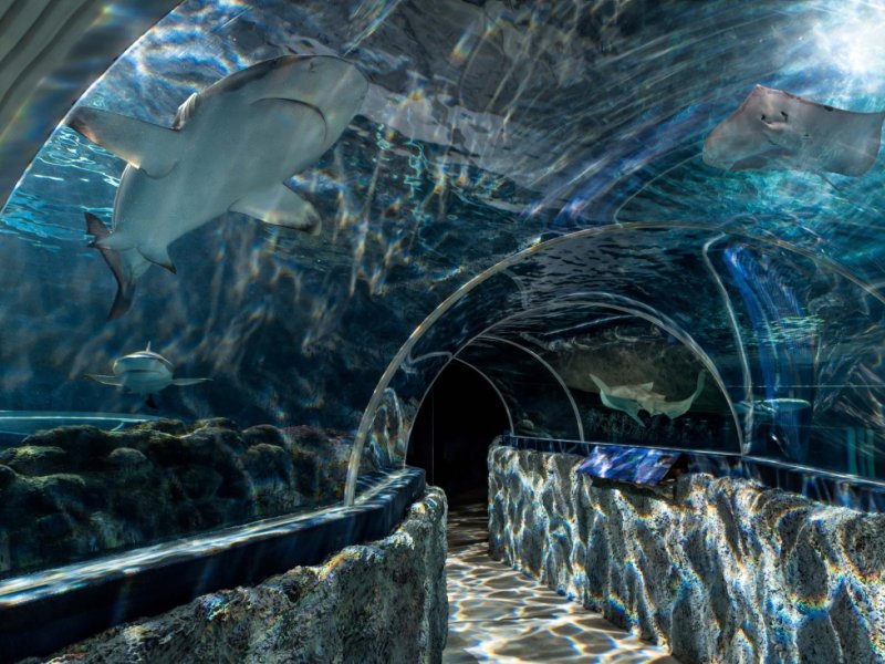 Sylt-Aquarium