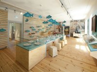 Karpfenmuseum in Neustadt an der Aisch