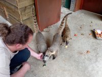 Tierfütterung