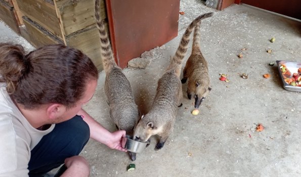 Tierfütterung