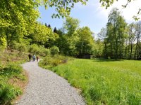 Spaziergang im Bilsteintal