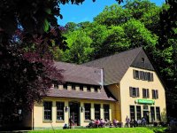 Warsteiner Waldwirtschaft im Bilsteintal