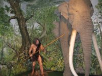 Elefantenjagd