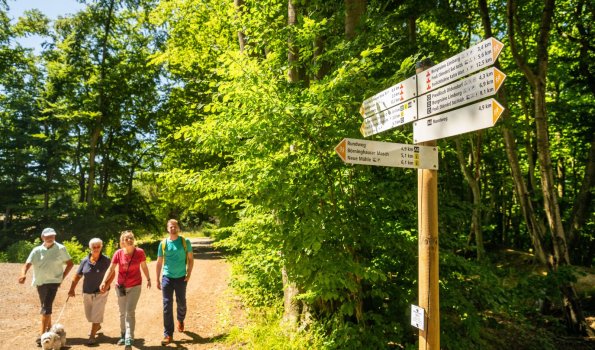 Preußisch Oldendorf - Wanderwege ©Teutoburger Wald Tourismus/ D. Ketz