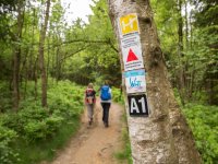Winterberg Touristik Wanderinnen
