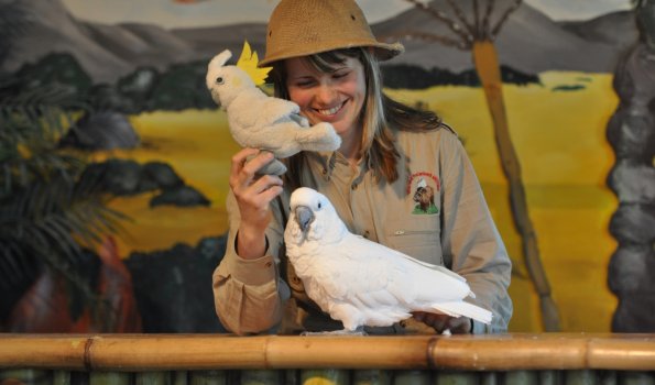 Tiershow - Wild- und Freizeitpark Willingen