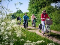 Fahrradgruppe im Grünen @Traute Meyer