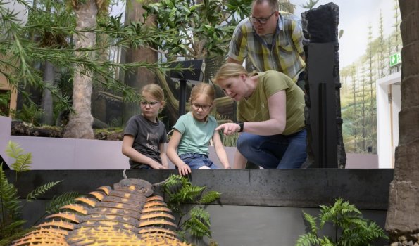 Museum am Schölerberg - Karbonwald