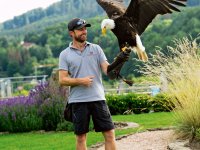 Benjamin Aschmann mit einem Weisskopfseeadler
