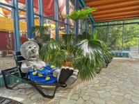 WONNI im Palmengarten