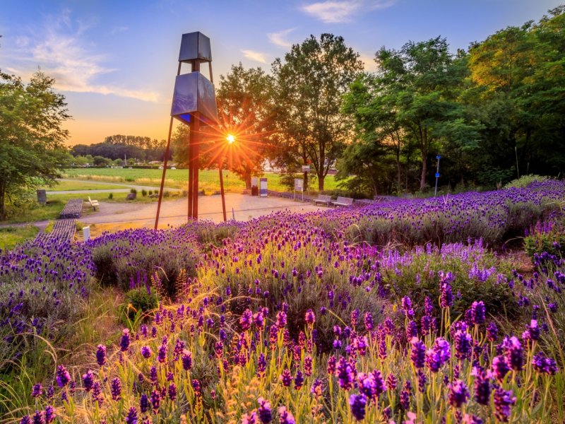 Bergehalde @Frank Heldt