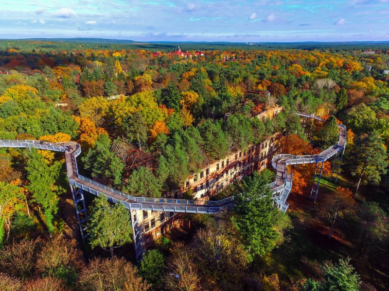 Beelitz Baum und Zeit - Luftaufnahme