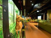 Botschaft der Wildtiere Hamburg