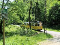 Regionalverkehr Sächsische Schweiz-Osterzgebirge