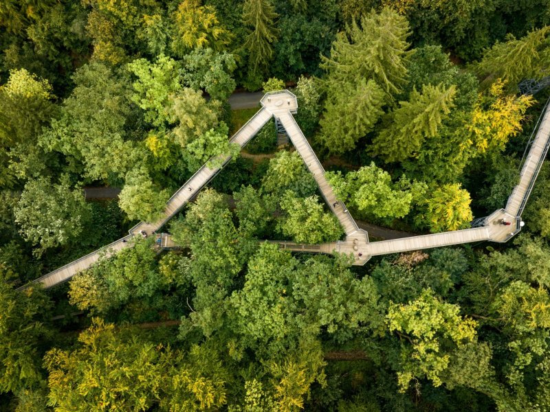 Baumwipfelpfad Harz - Vogelperspektive