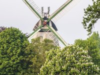 Holländer Mühle Artlenburg