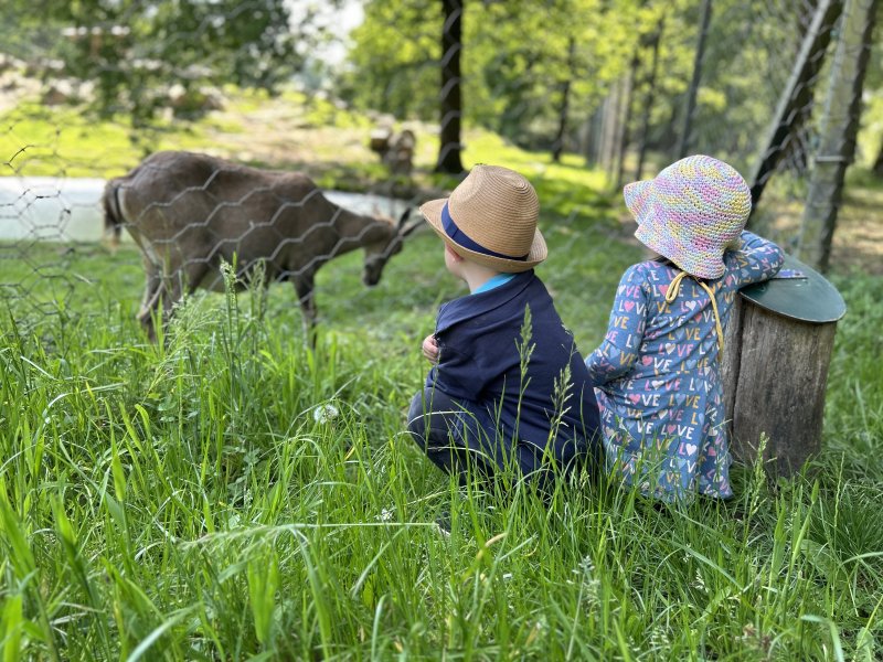 Biotopwildpark Anholter Schweiz