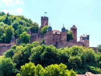 BurgWertheim